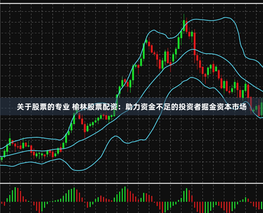 关于股票的专业 榆林股票配资：助力资金不足的投资者掘金资本市场